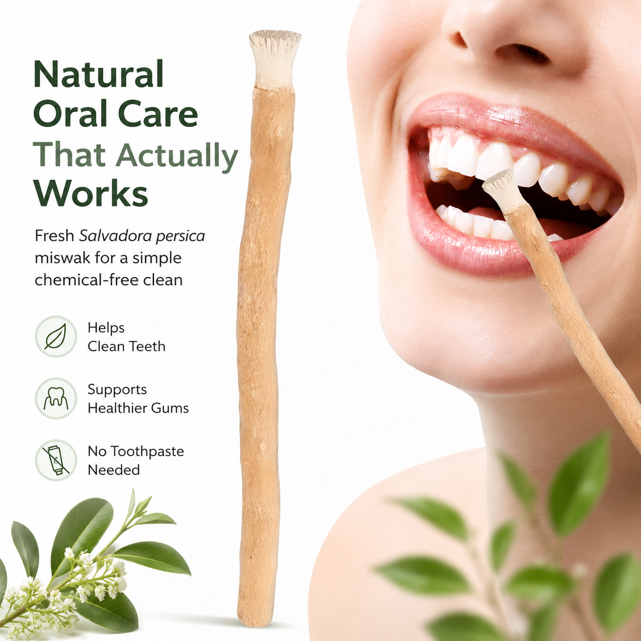 Natural Miswak Toothbrush Sticks – 3 Pack