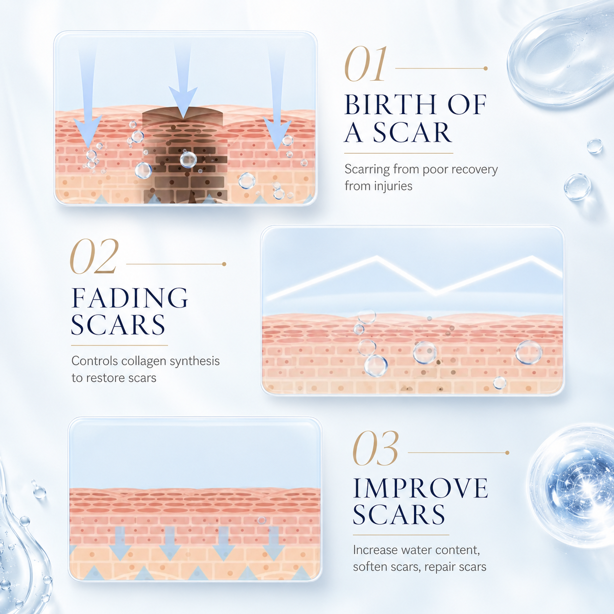 Protective barrier skincare