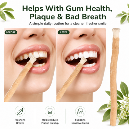 Natural Miswak Toothbrush Sticks – 3 Pack