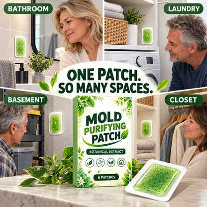 6Pcs Mold Purifying Patches