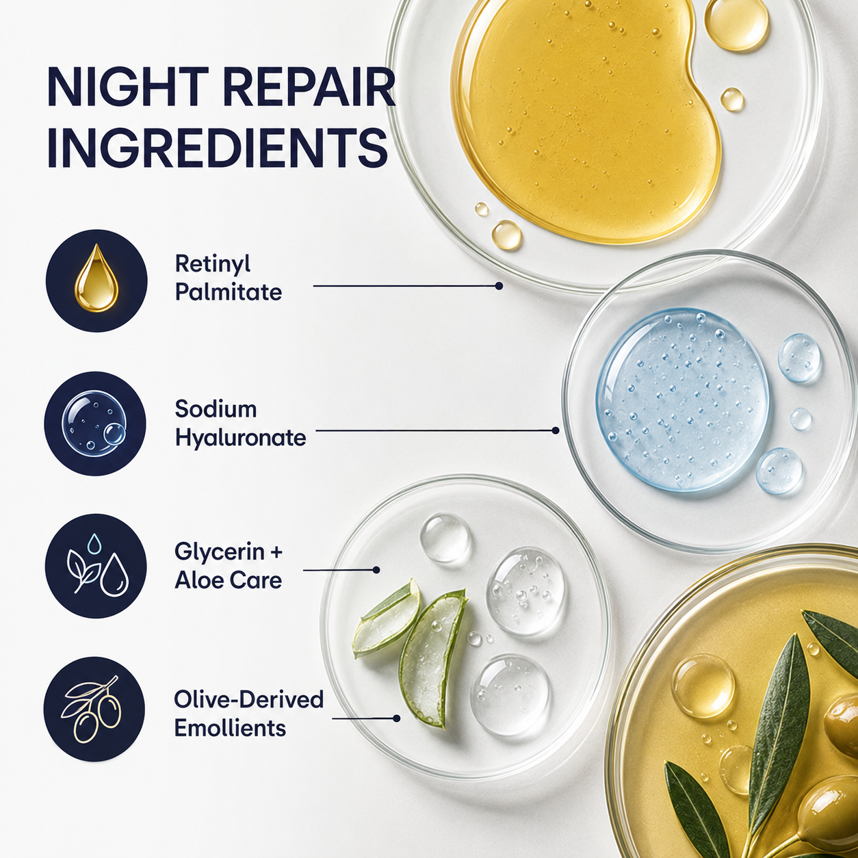 Men’s Night Repair Face & Neck Cream